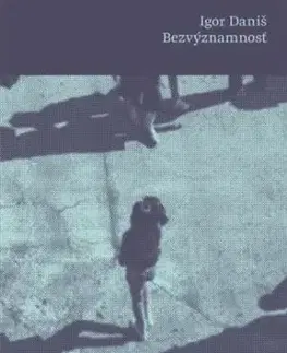 Bezvýznamnosť - Igor Daniš