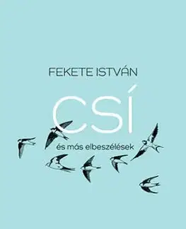 Csí és más elbeszélések - felújított kiadás - István Fekete