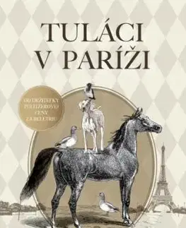Tuláci v Paríži - Jane Smiley