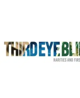 Third Eye Blind - Rarities & First Drafts (Green) (RSD 2026) LP - Third Eye Blind