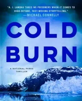 Cold Burn - A. J. Landau