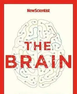 The Brain - New Scientist