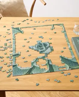Puzzle »Sukkulente«