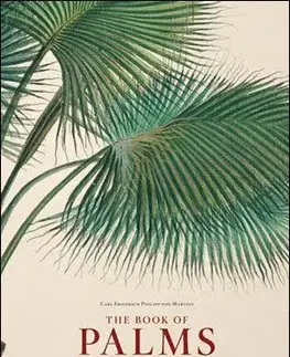 The Book of Palms - H. W. Lack
