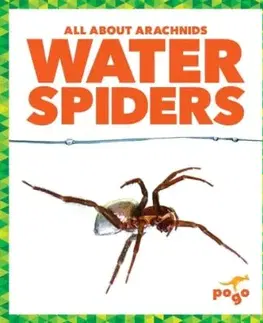 Water Spiders - Becca Becker
