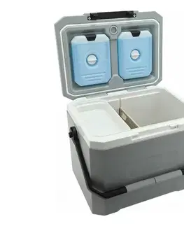  Chladiaci box s chladiacou vložkou 16 l šedý 06519