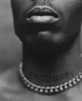 DMX - Exodus LP - Dmx