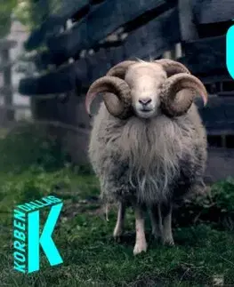 Korben Dallas - Čomu uveríš CD - Korben Dallas