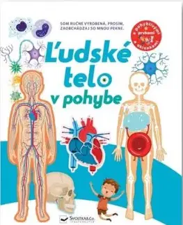 Ľudské telo v pohybe - David Hawcock