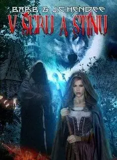 V šeru a stínu - J. C. Hendee