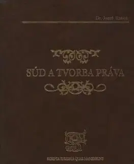Súd a tvorba práva - Jozef Ratica