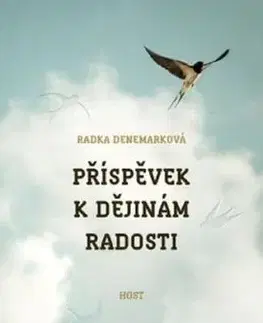 Příspěvek k dějinám radosti - Radka Denemarková