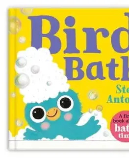Bird Bath - Steve Antony