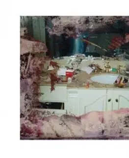 Pusha T - Daytona LP - Pusha T