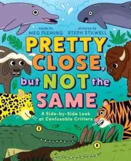 Pretty Close, but Not the Same - Meg Fleming