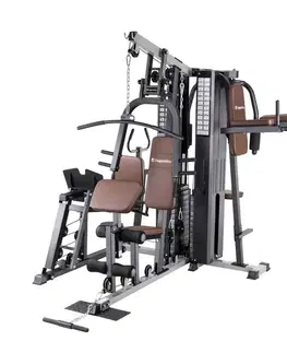 inSPORTline Profigym C300
