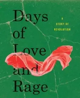 Days of Love and Rage - Anand Gopal