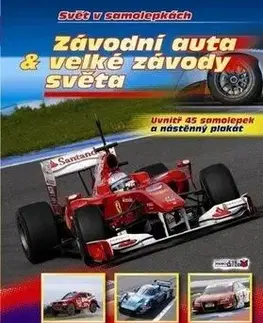 Závodní auta