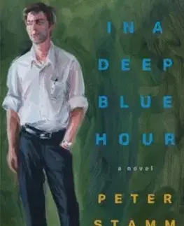 In a Deep Blue Hour - Peter Stamm