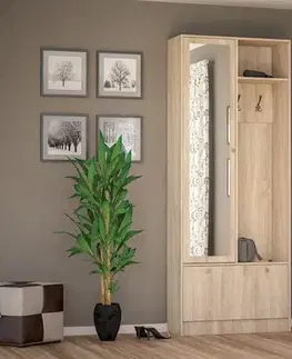 PRESTO dizajnová predsieň wenge, tmavá