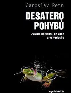Desatero pohybů - Petr Jaroslav