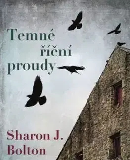 Temné říční proudy - S. J. Bolton