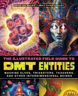 The Illustrated Field Guide to DMT Entities - David Jay Brown, Sara Phinn Huntley
