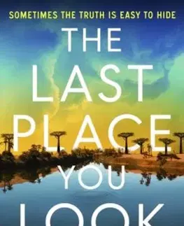 The Last Place You Look - Nikki Smith