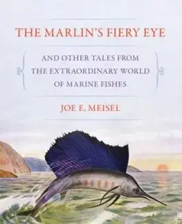 The Marlin's Fiery Eye and Other Tales from the Extraordinary World of Marine Fishes - Joe E. Meisel