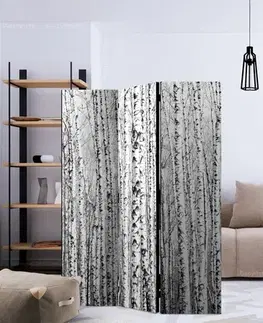 Paraván Birch forest Dekorhome