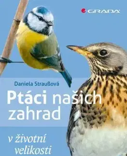 Ptáci našich zahrad - Daniela Straußová