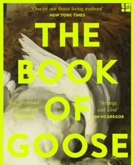 The Book of Goose - Yiyun Li