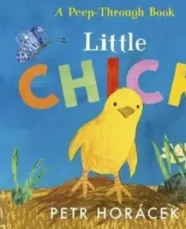 Little Chick - Petr Horácek