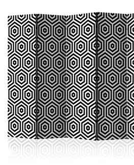 Paraván Black and White Hypnosis Dekorhome