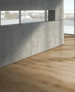 PARADOR Basic 400 Dub Horizont prírodné jemne matná štruktúra 1593813