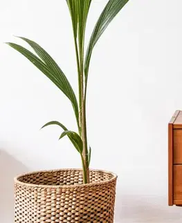 Stolová lampa SATTI sivozelená keramická s tienidlom E14 1x40W elegantná dekoratívna do obývačky, spálne, pracovne, klasického štýlu