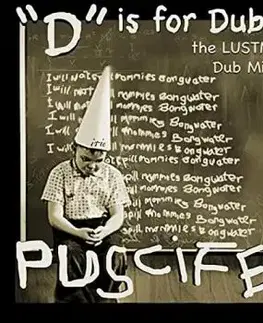 Puscifer - D Is For Dubby (The Lustmord Dub Mixes) 2LP - Puscifer