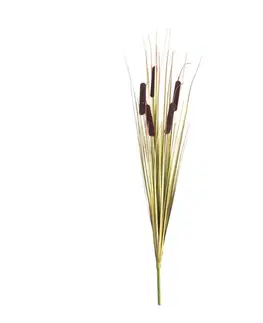 Dekoria Dekorácia Tatarak 65cm dark brown, 2 x 2 x 65 cm