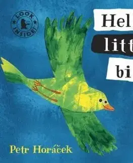 Hello, Little Bird - Petr Horáček