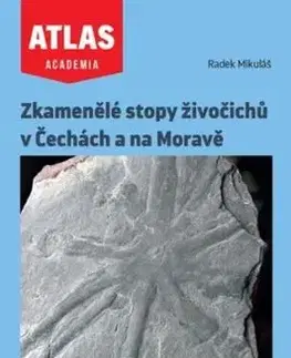 Zkamenělé stopy živočichů v Čechách a na Moravě - Radek Mikuláš