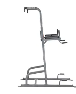 inSPORTline Power Tower PT300