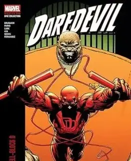 Daredevil Modern Era Epic Collection: The Devil in Cell-Block D - Ed Brubaker, Ande Parks, Michael Lark