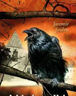 Václav IV. - Na zármutek nezbyl čas - Jindra Jaromír