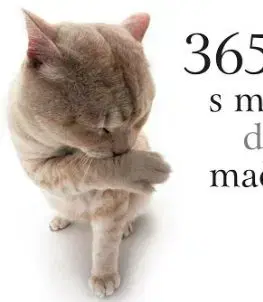 365 dní s mojou drzou mačkou - Helen Exley