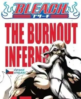 Bleach 45: The Burnout Inferno - Kubo Tite