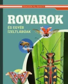 Rovarok és egyéb ízeltlábúak