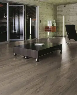 KRONOTEX Dynamic Orech palazzo D 4757