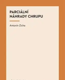 Parciální náhrady chrupu - Antonín Zicha