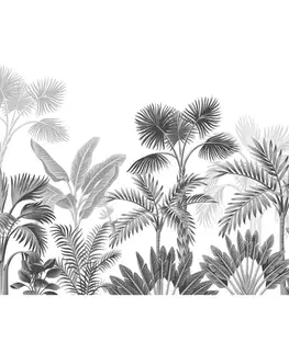 Fototapeta XXL Jungle 360 x 254 cm, 8 dielov