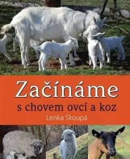 Začínáme s chovem ovcí a koz - Lenka Skoupá